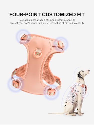 Maogoublue Animal Harness in S(Neck:11.8-17.7",Chest:17.7-21.6"), Dune Beige