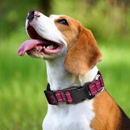 GDLKPS Animal Collar in XS:3/4" Wide for 11.5"-13.5" Neck, Crimson