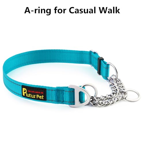 PLUTUS PET Animal Collar in Medium, Cyan