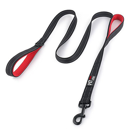 PLUTUS PET Leash in 4 FT, Black