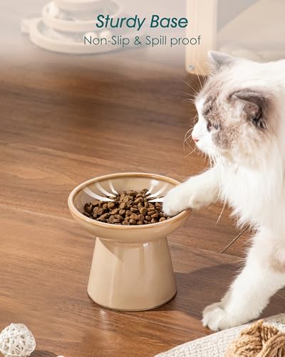 vancasso Pet Feeder in Brown