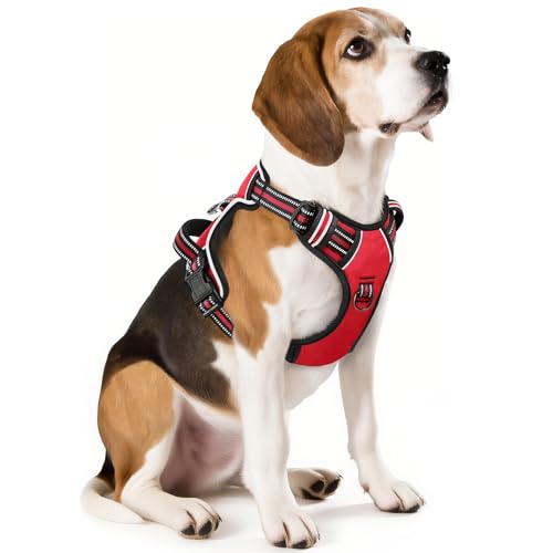 HEELE Animal Harness in M, Red