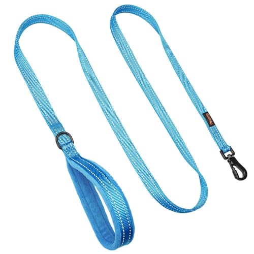 Didog Leash in 3/4''x 4 FT, Blue