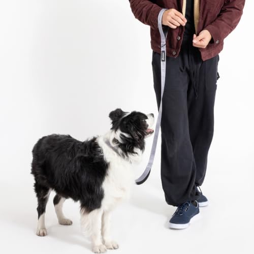 Fei and Eve Leash in 4FT, Twilight Gray