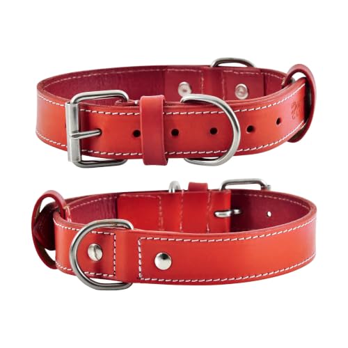 DowgClub Animal Collar in S (11"-14"), Red