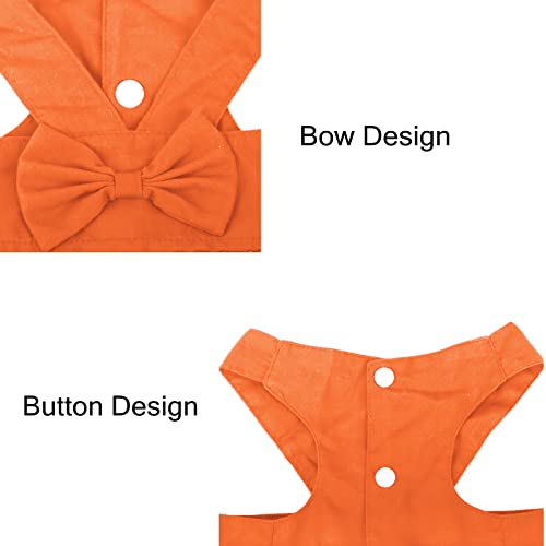 apott Pet Apparel in Small, Orange