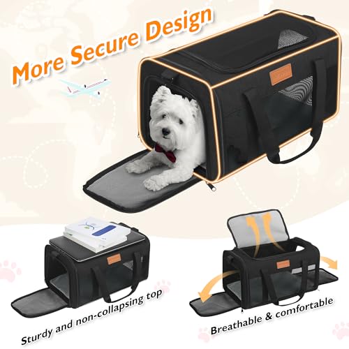Petux Animal Carrier in 17.0"L x 11.0"W x 9.5"H, Light Black
