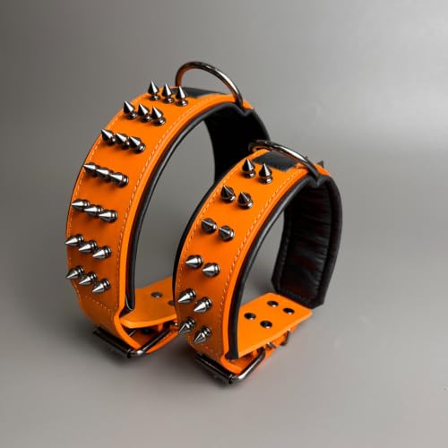 Molteriqo Animal Collar in M-neck 33-41cm, Orange