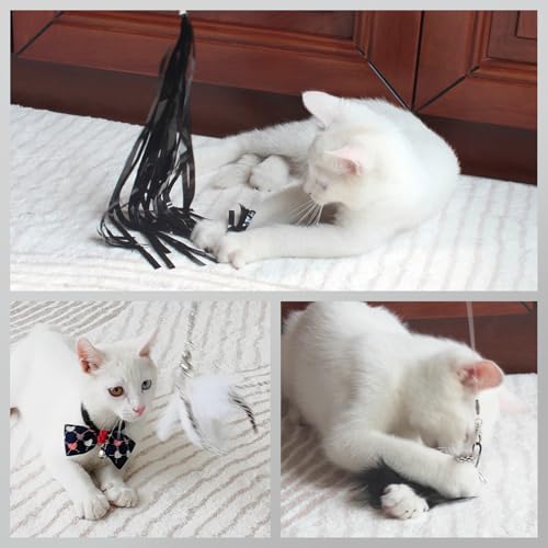 SONGWAY Pet Toy in Black