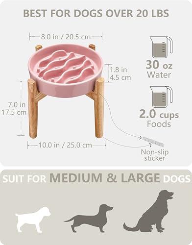 MOPANG Pet Feeder in 6 Inches, Salmon Pink + Stand