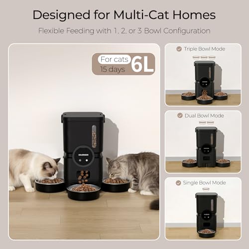 Chloraeon Pet Feeder in Black