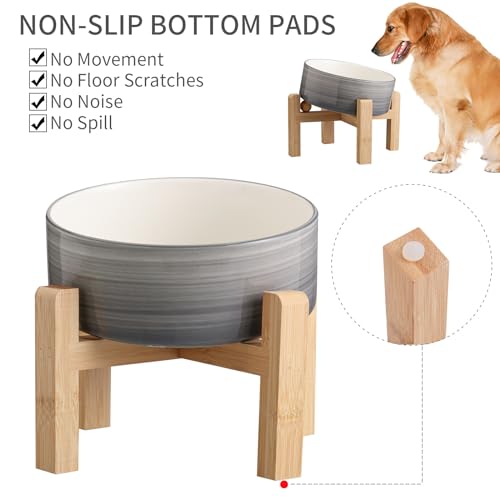 DJJJOOYS Pet Feeder in Slanted Small Dog Bowl, Grey White