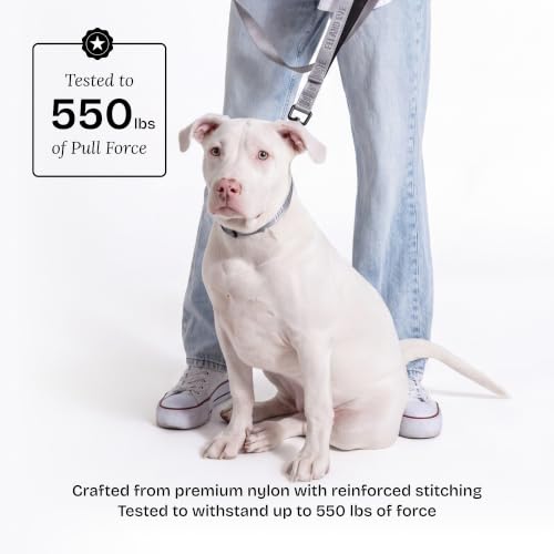Fei and Eve Leash in 4FT, Twilight Gray