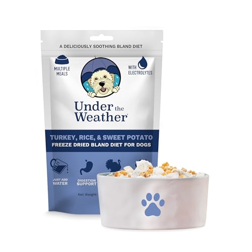 Under the Weather Pet Food in 6 Ounce (Pack of 1)