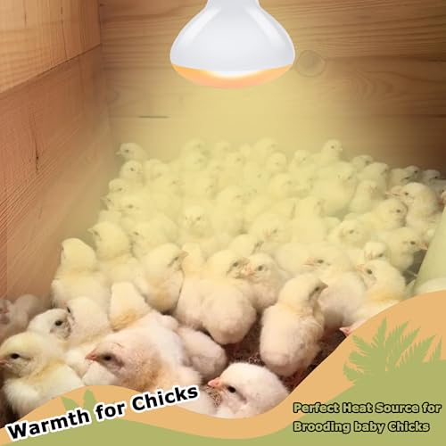 HARTOMPET Light Bulb in 60W - 2.5", Yellow