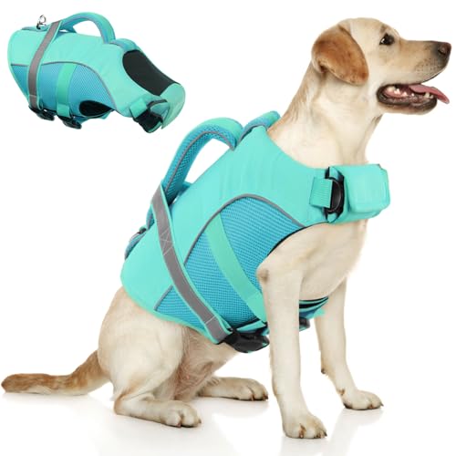 Queenmore Pet Apparel in X-Small, LightBlue