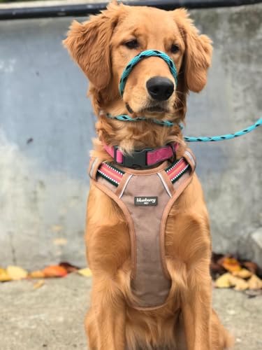 Blueberry Pet Animal Harness in Medium, Dark Green&Pink