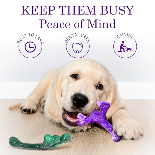 Frienhund Pet Toy in 4-PacK Beef, Purple & Green