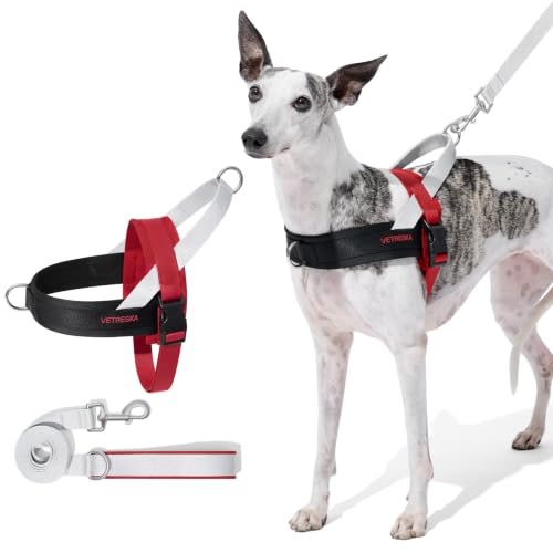 VETRESKA Animal Harness in XS(Chest: 16.9"-22"), Circuit