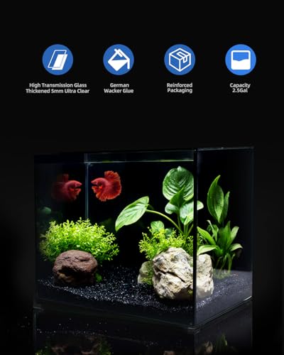 minilake Vivarium in 2.5 Gallon, Black