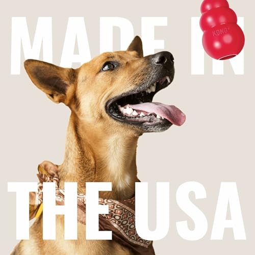 KONG Pet Toy in X-Large(2-Pack), Red
