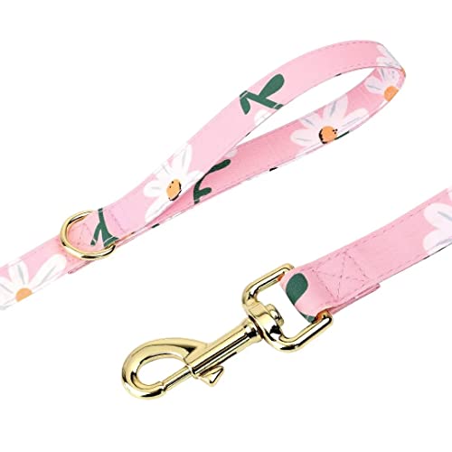 Beirui Animal Harness in XS:Fit 6-12 lbs, Pink