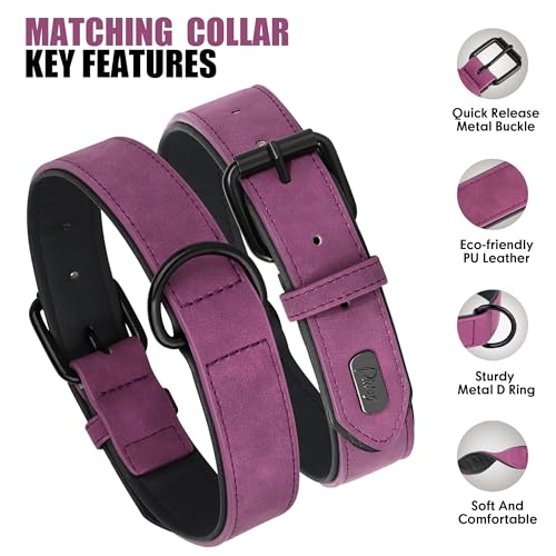 Didog Animal Collar in M: Fit Neck 11-14"(10-20 lbs), Purple Set