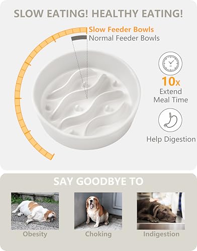 MOPANG Pet Feeder in 6 Inches, White