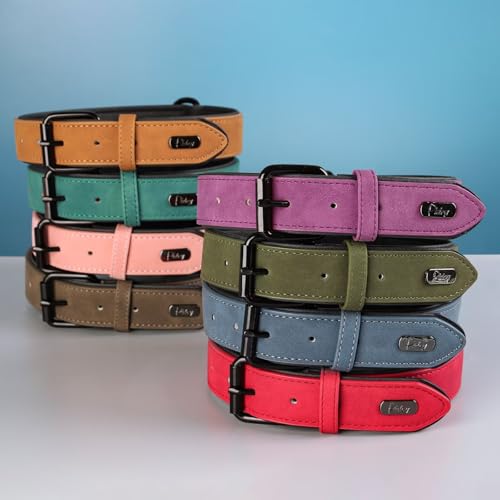 Didog Animal Collar in M: Fit Neck 11-14"(10-20 lbs), Dark Green