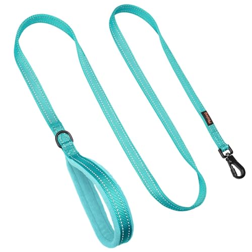 Didog Leash in 3/4''x 6 FT, Teal