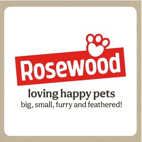 KONG Pet Toy in Medium (Pack of 1), Red