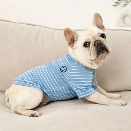 Wiz BBQT Pet Apparel in Pet XS - Chest 11.8", Blue