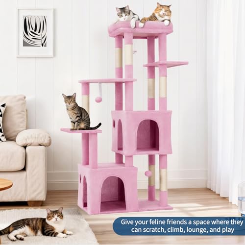 OUTLANE Pet Activity Structure in Pink, Pink