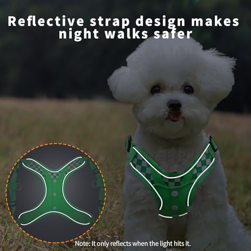 SAEGYPET Animal Harness in XS, Green (denim)
