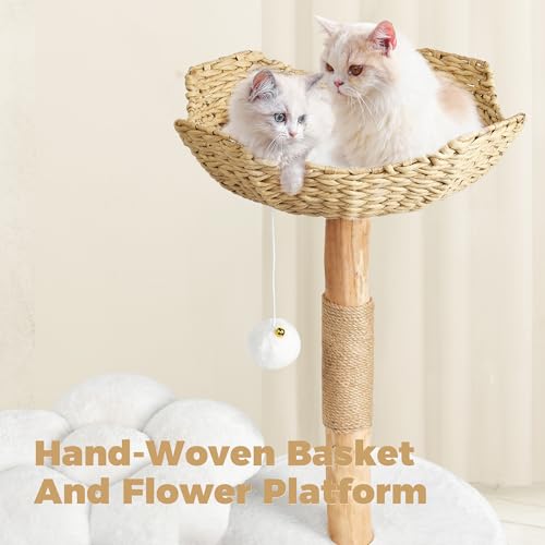 Easyego Pet Activity Structure in 36.6'', White