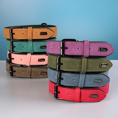Didog Animal Collar in M: Fit Neck 11-14"(10-20 lbs), Blue
