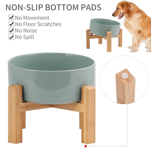 DJJJOOYS Pet Feeder in Slanted Small Dog Bowl, Light Green