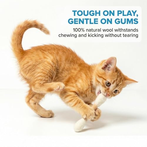 Glaciart One Pet Toy in Mini, Beige Swabs