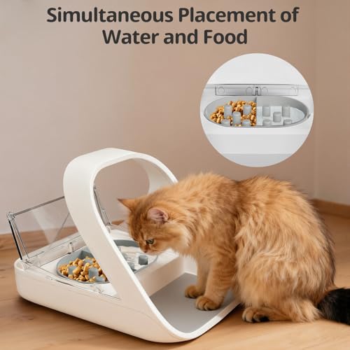 Baofum Pet Feeder in 2+1 Pack, Gray Bowls