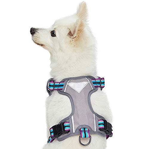 Blueberry Pet Animal Harness in Small, Violet and Celeste