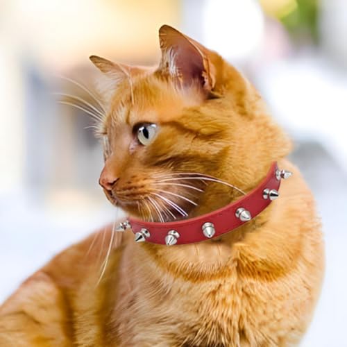 WeimoMonkey Animal Collar in X-Small(Neck7.5-10"), 40 Red