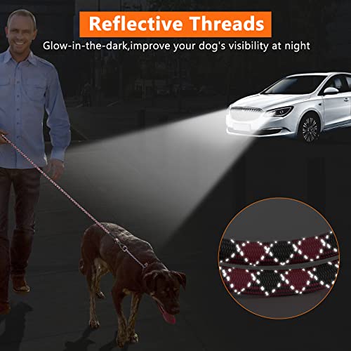 NTR Leash in 15ft*1/3", Pink/Grey