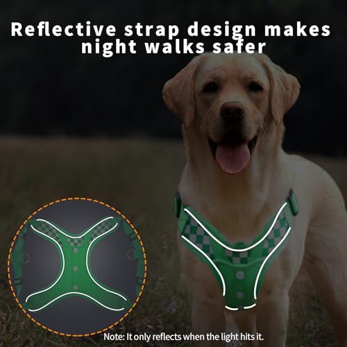 SAEGYPET Animal Harness in L, Green (denim)