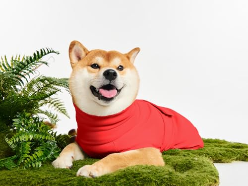 Haloumoning Pet Apparel in X-Small, Red