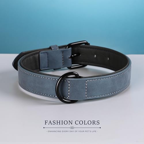 Didog Animal Collar in M: Fit Neck 11-14"(10-20 lbs), Blue