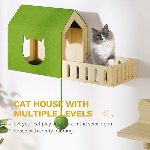 YITAHOME Pet Activity Structure in 1 piece, Cactus