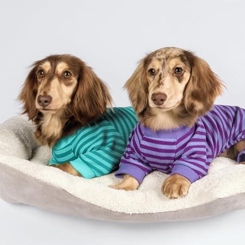 Fitwarm Pet Apparel in X-Small, DarkCyan