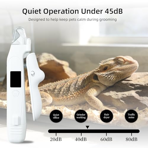 Lyrzzey Pet Supplies in White