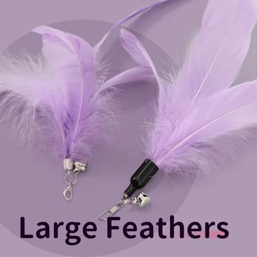 SONGWAY Pet Toy in Purple