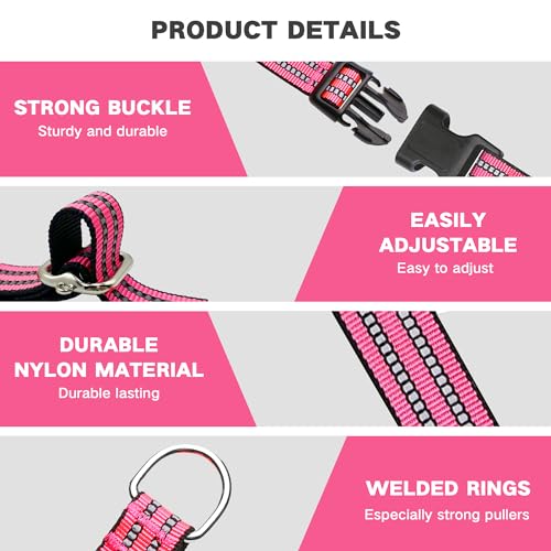 Hikiko Animal Collar in Small, Hot Pink
